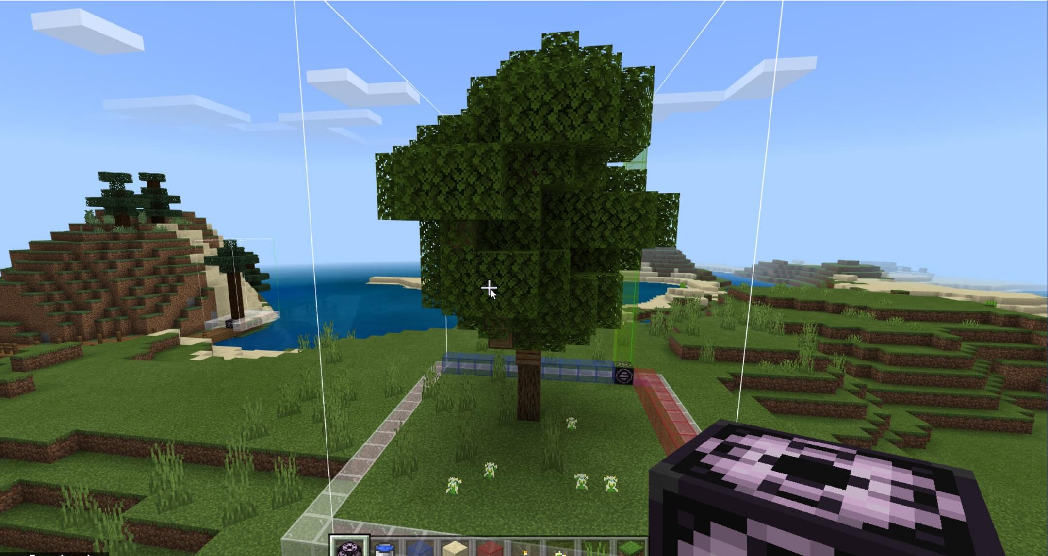 Insights from a Minecraft Mentor