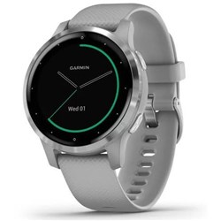 Garmin VivoActive 4S GPS Smart Watch (Silver/Powder Grey)