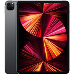 Apple iPad Pro 11-inch 256GB Wi-Fi   Cellular (Space Grey) [2021]