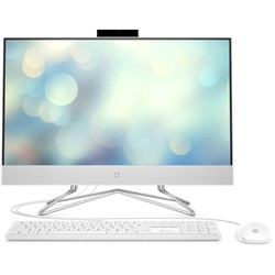 HP 23.8' FHD All-in-One PC (Athlon) [256GB]