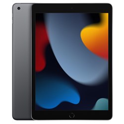 Apple iPad 10.2-inch 256GB Wi-Fi (Space Grey) [9th Gen]