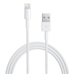 Apple Lightning to USB Cable (1m)