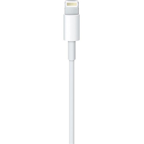 Apple Lightning to USB Cable (0.5m) - JB - JB Hi-Fi Business