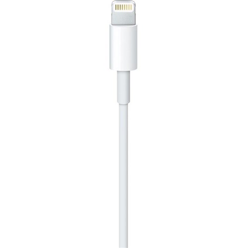 Apple Lightning to USB Cable (0.5m)