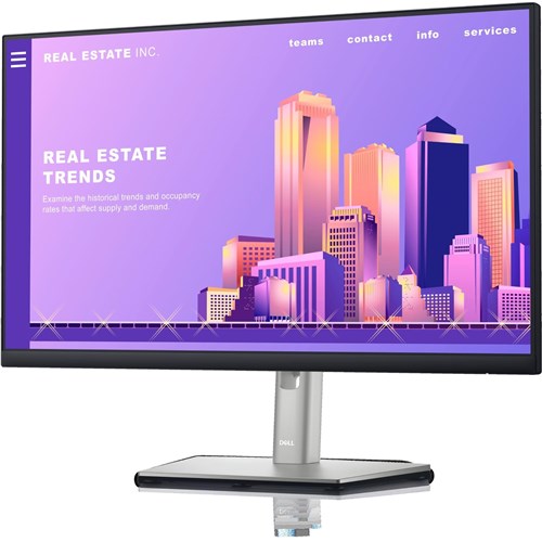 Dell Monitor P2422H 24'/FHD/1920 x 1080/16:9/60Hz