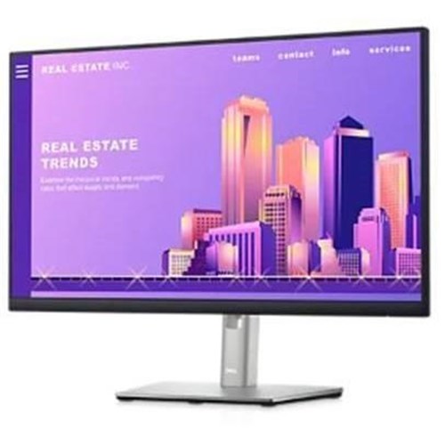 Dell Monitor P2422H 24'/FHD/1920 x 1080/16:9/60Hz