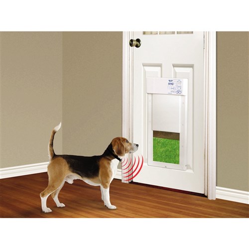 High Tech Pet Door