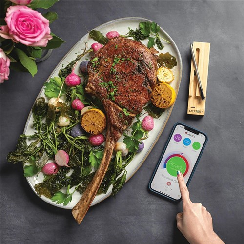 Meater Plus Meat Thermometer with Bluetooth Repeater