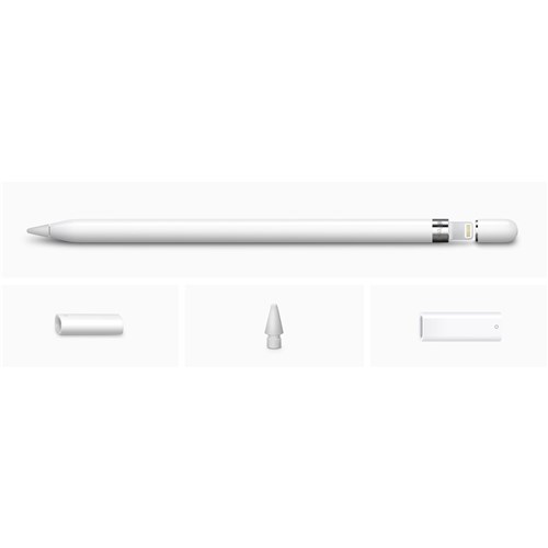 Apple Pencil with Adapter (1st Gen)