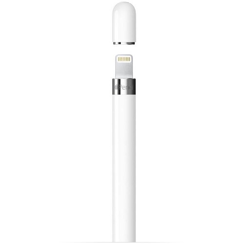 Apple Pencil with Adapter (1st Gen)