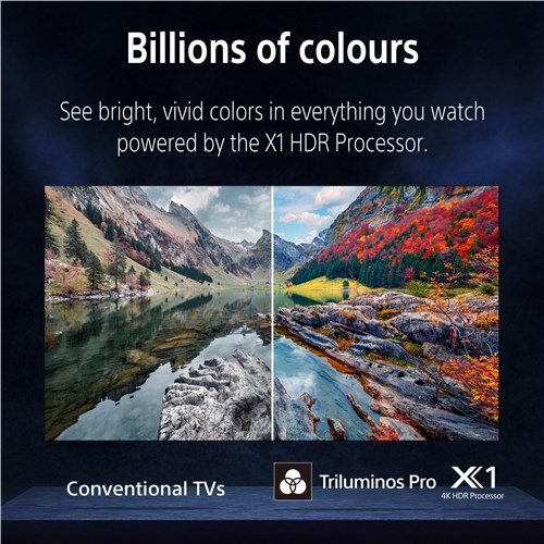Sony 43' BRAVIA 3 4K HDR LED Google TV