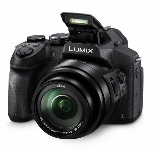 Panasonic LUMIX FZ300 Weatherproof Digital Camera with Leica Lens [4K Video]