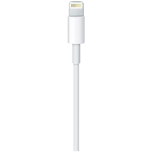 Apple USB-C to Lightning Cable (2M)